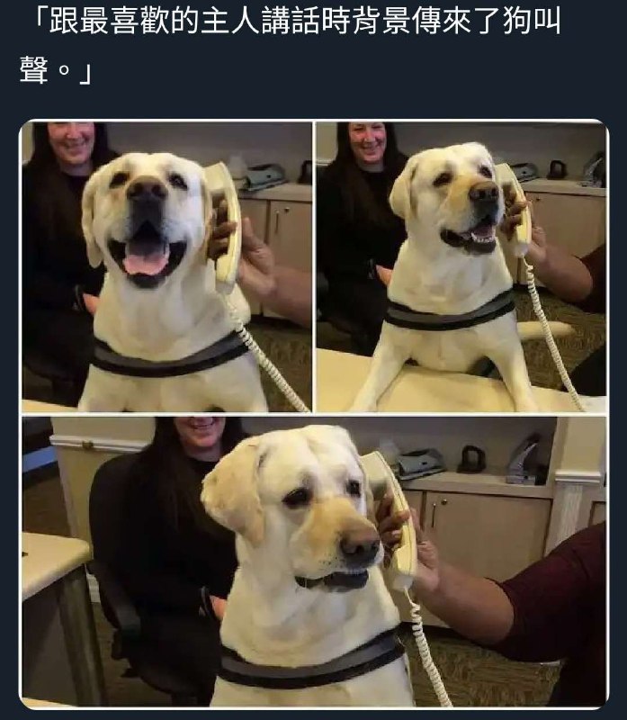 via AXJue/车皇