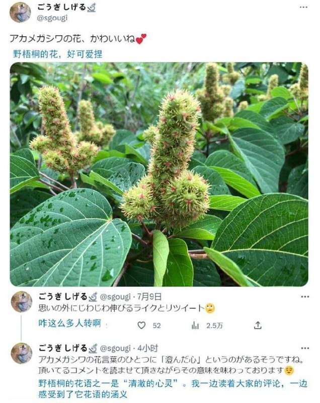 via AXJue/车皇