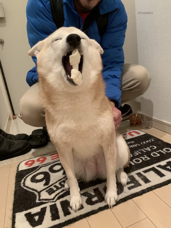 这骨头怎么卡嘴呢