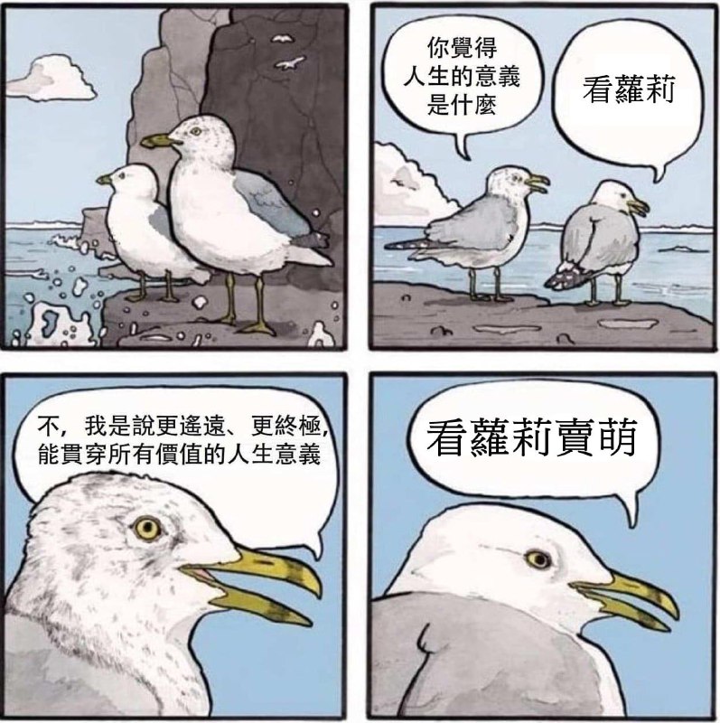 via 宋某人 | SCIO