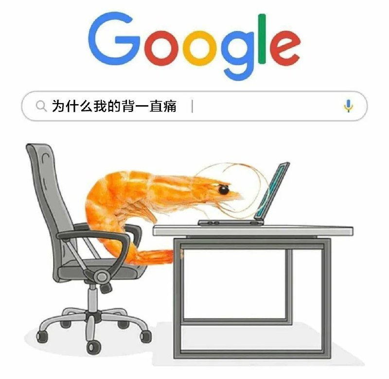 from 什么都能放