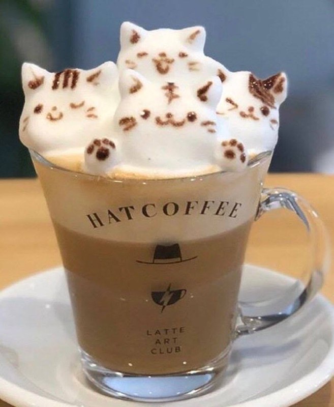 猫猫咖啡～from 叮当喵喵猫猫咖啡～from 叮当喵喵