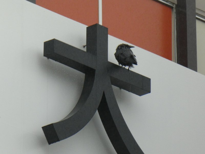 来源来源