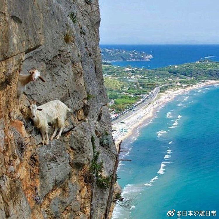 from 部 宽慰from 部 宽慰