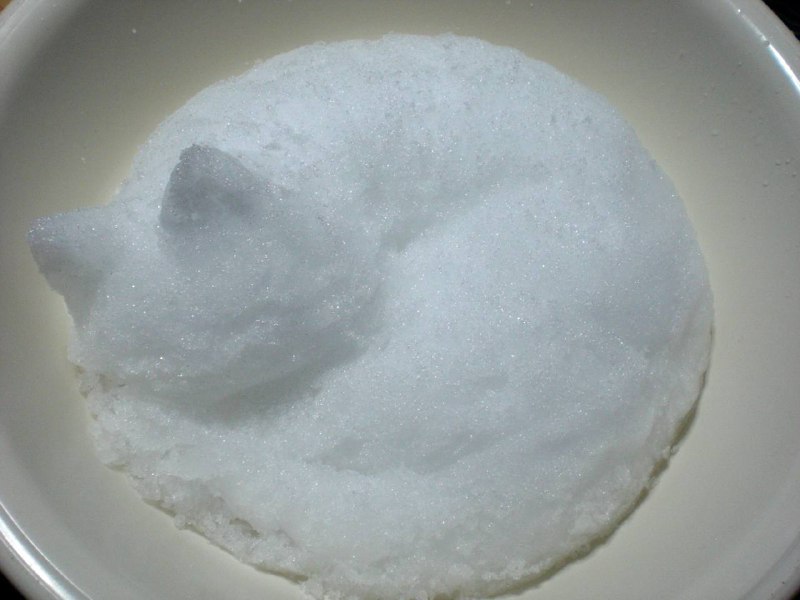 雪猫猫from 叮当喵喵-内有可爱猛兽雪猫猫from 叮当喵喵-内有可爱猛兽