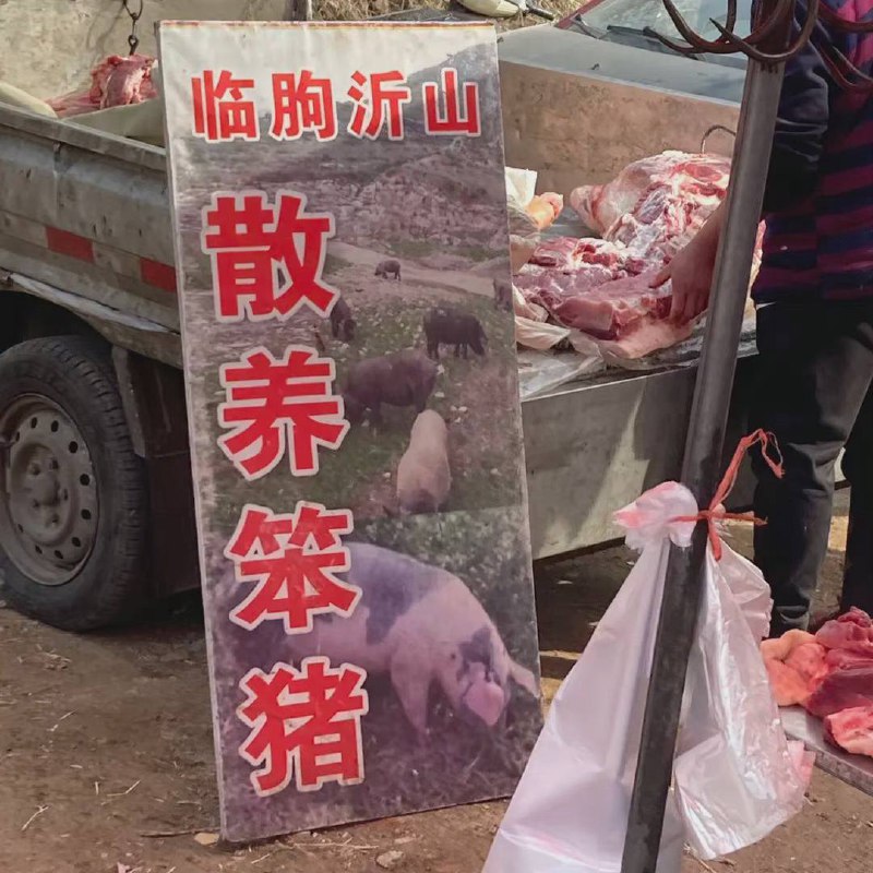 from 什么都能放from 什么都能放