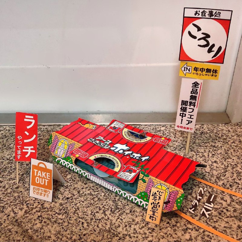 为了让小强屋多吸引些虫子，很努力地进行了装修