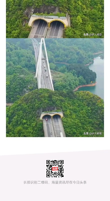 发现了互联网第一大聪明！ sourcefrom ️每日节奏️ 👑 Trending Everyday via Enlysure发现了互联网第一大聪明！ sourcefrom ️每日节奏️ 👑 Trending Everyday via Enlysure