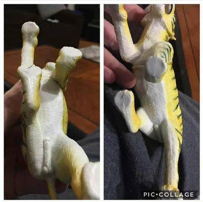 ？from 平壤卫视