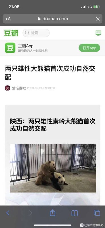 from 什么都能放