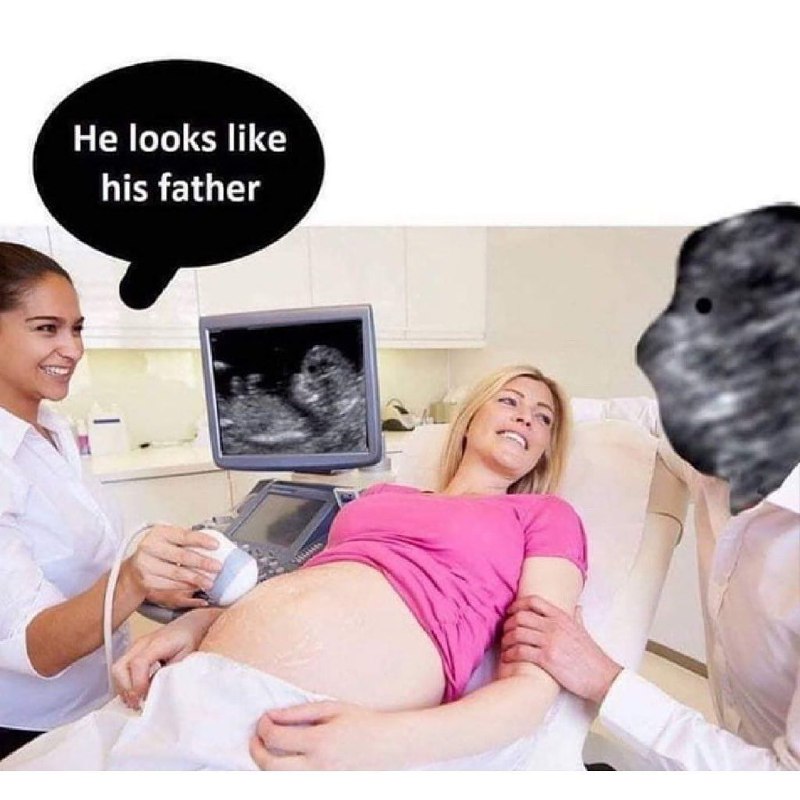 from 上班划水之沙雕图