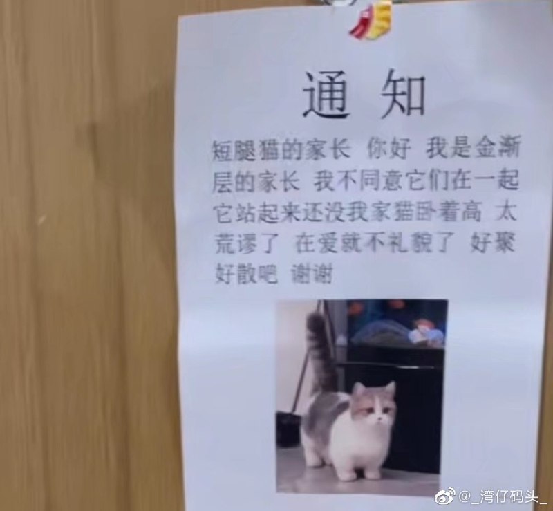 棒打鸳鸯棒打鸳鸯