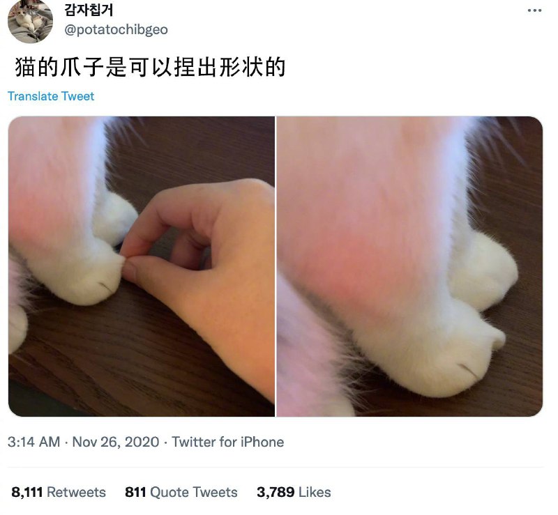 from 什么都能放
