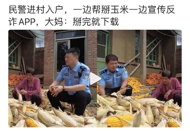 from 什么都能放#精品