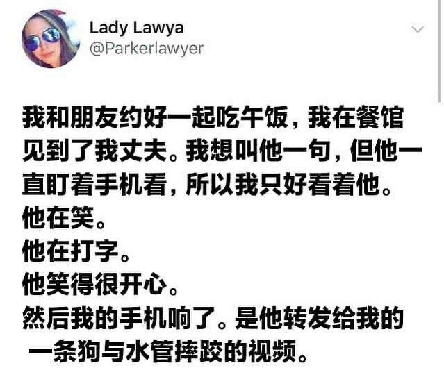 from 什么都能放