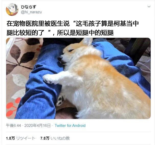 via AXJue爱新觉罗车皇