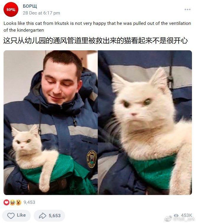 #可爱喵喵from 小叮当又在吐槽了 via 𝐌𝐢𝐭𝐬𝐮𝐫𝐢
