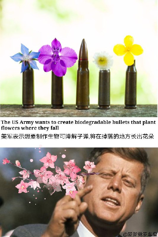 via 车皇 爱新觉罗