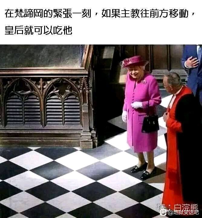 from 阿猫阿狗