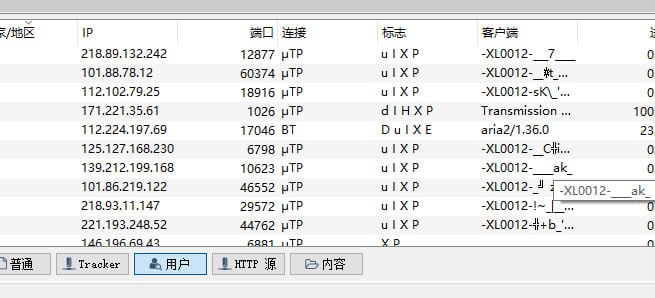 RNM PT怎么变成这个样子了