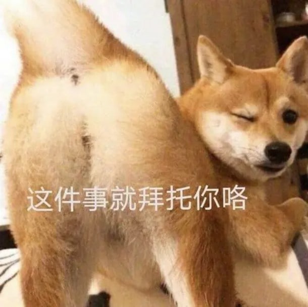 登陆Switch的事…就拜托你咯～登陆Switch的事…就拜托你咯～