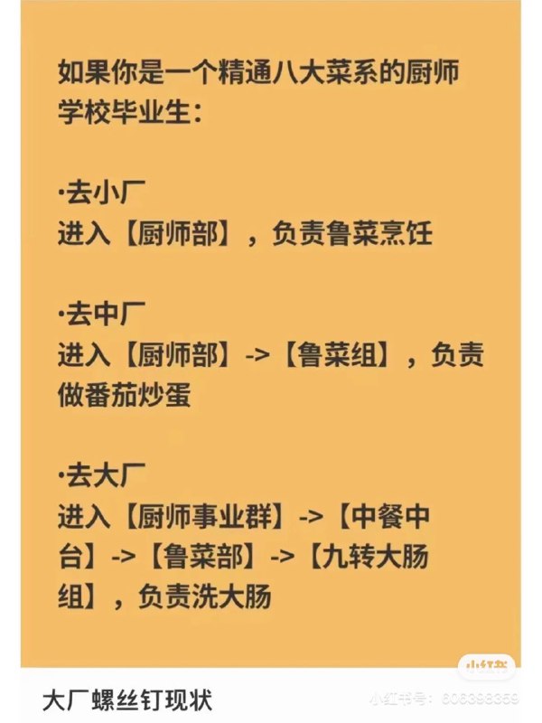 from 什么都能放