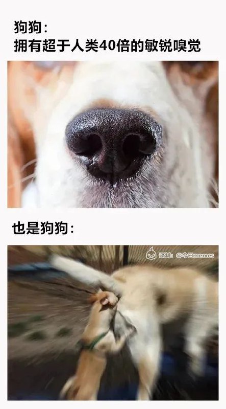 via AXJue/车皇