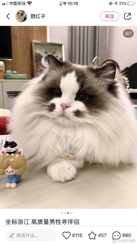 from 什么都能放from 什么都能放