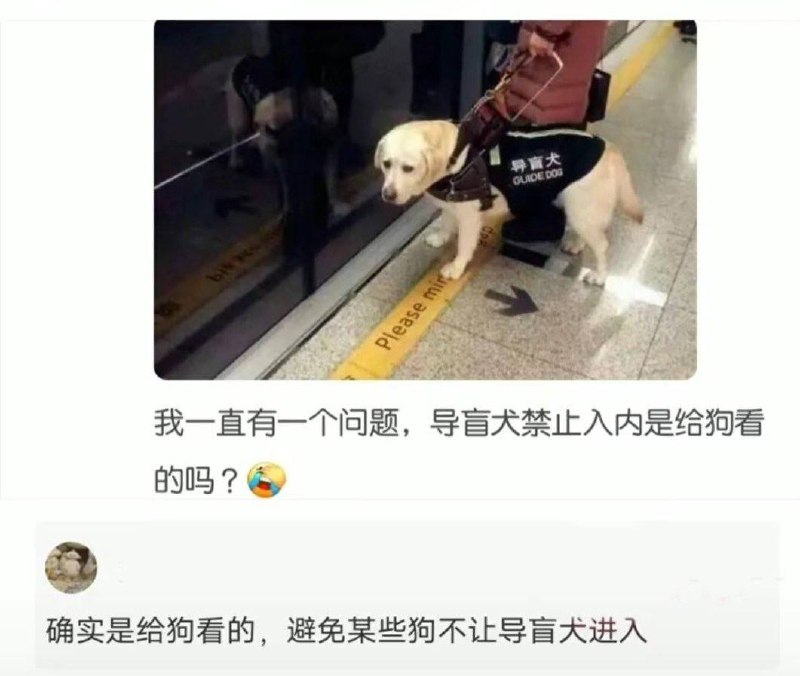 from 平壤卫视
