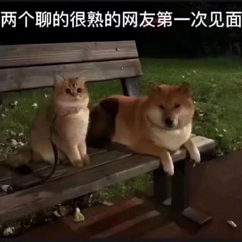 from 平壤卫视 via ㅤ