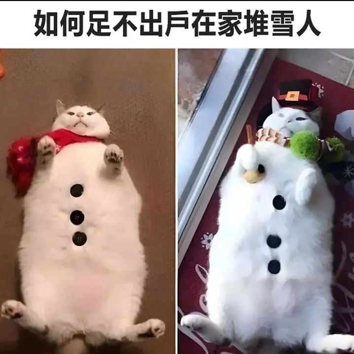 from 兔吞萝卜屋 via 半根萝卜HalfCarrot