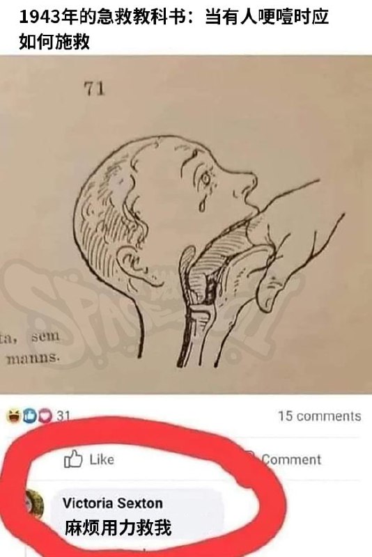 诡计多端from 平壤卫视 via ㅤ