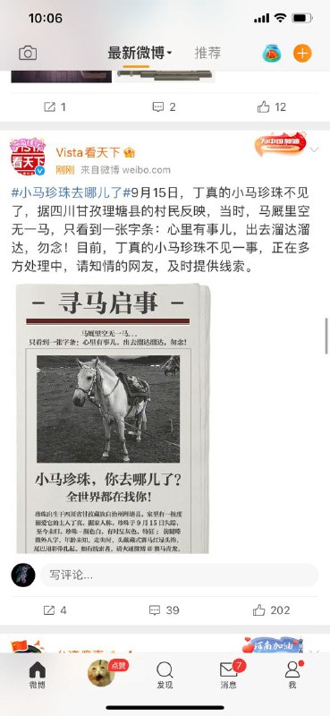 丁真的🐴没了from Kiseopt