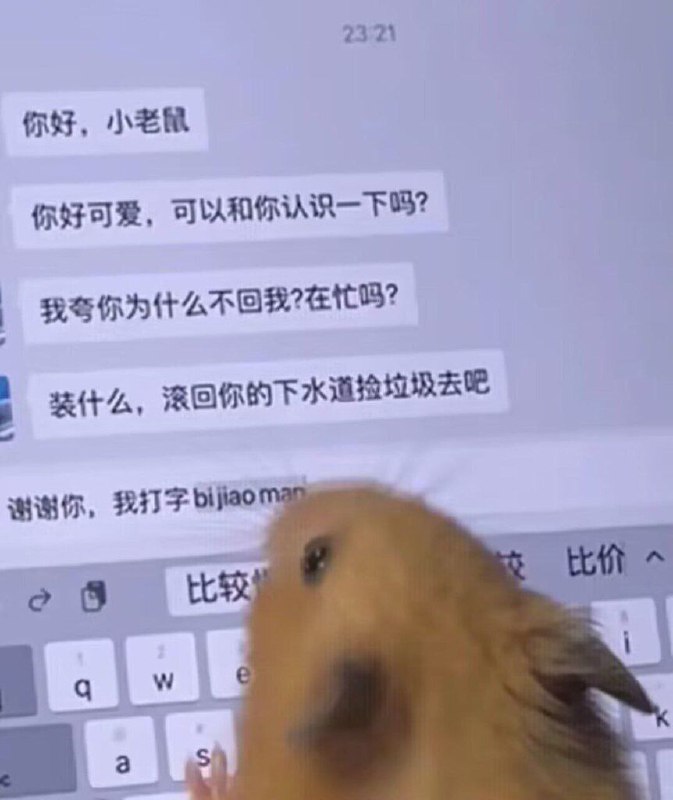 心疼小老鼠from 叮当喵喵