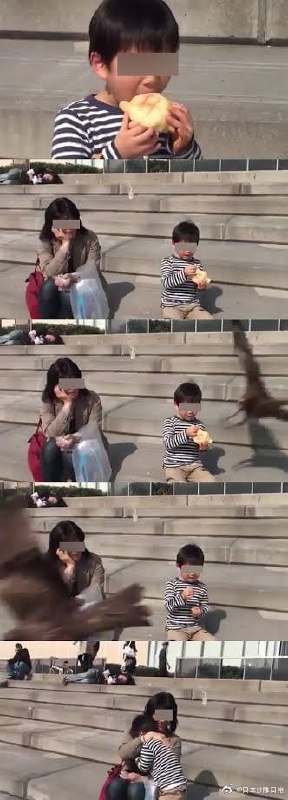 鹰击肠空