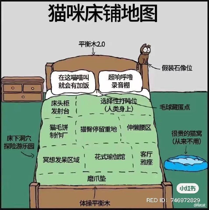 from 撸猫社 via 403 Forbidden