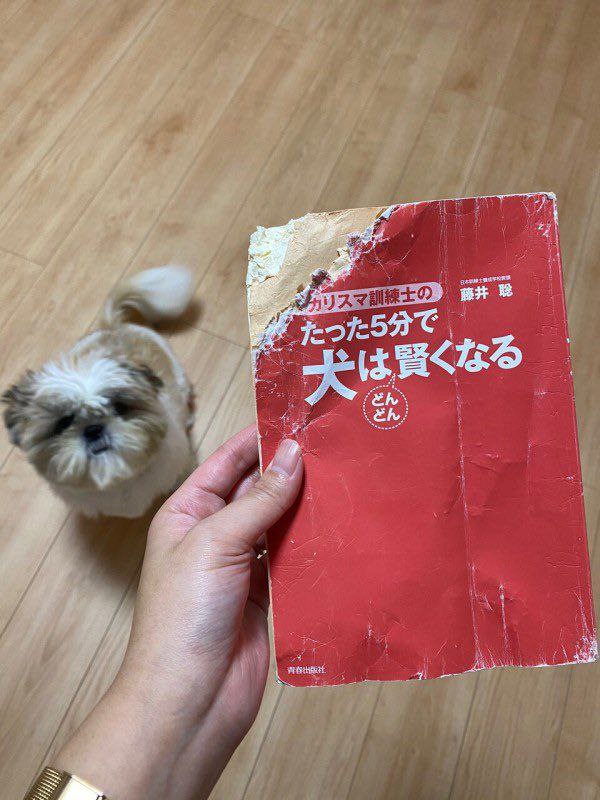 书名：五分钟让你的狗狗成熟起来，不过是渐渐（小字）