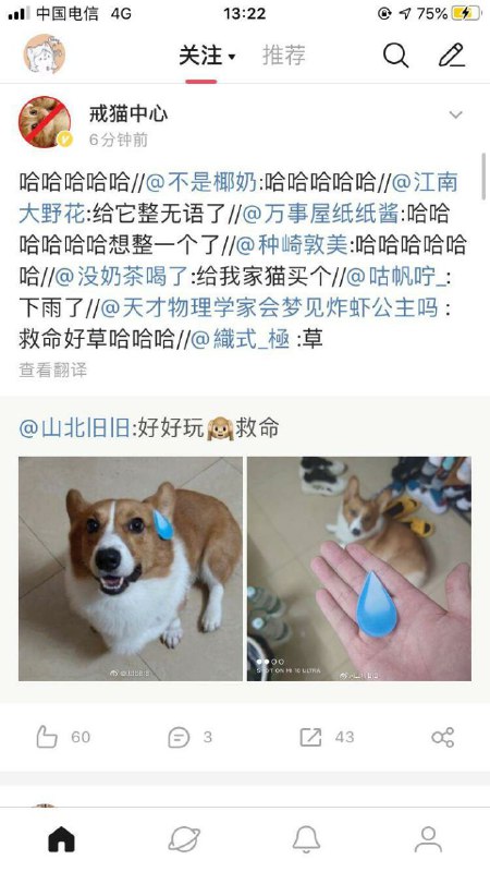 狗子:差不多得了😅from RWTG9Y4's STDOUT