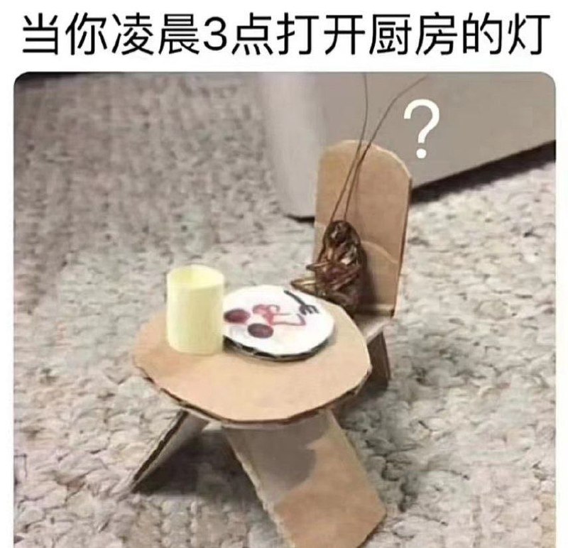 from 什么都能放