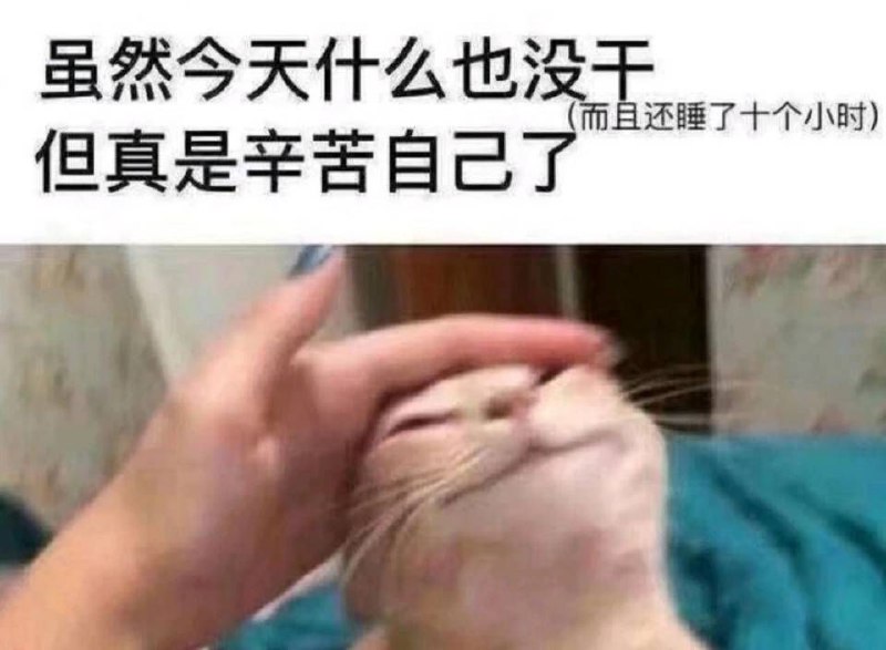 via 宋某人 | scio
