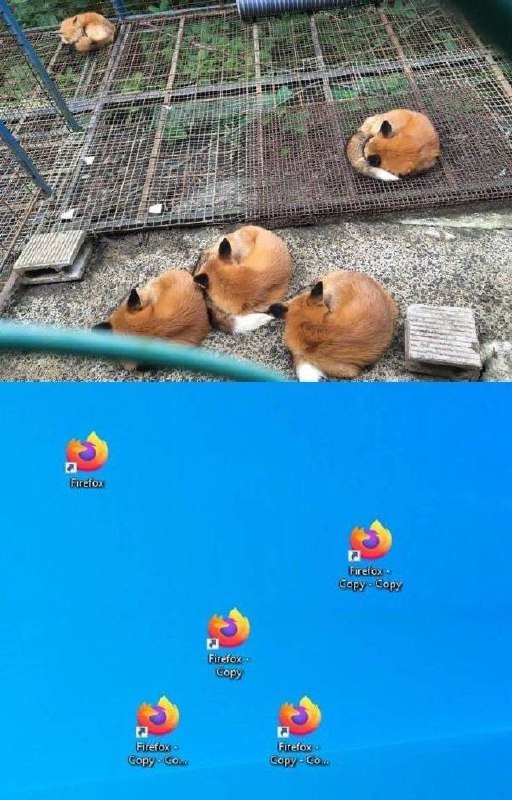 from 平壤卫视 via ㅤ