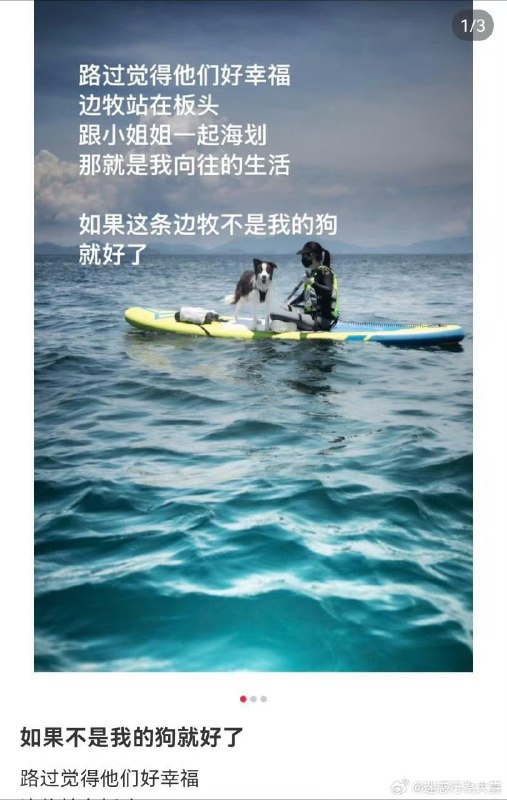 热评：牧已乘舟via 叮当from 心惊报 via DECADE
