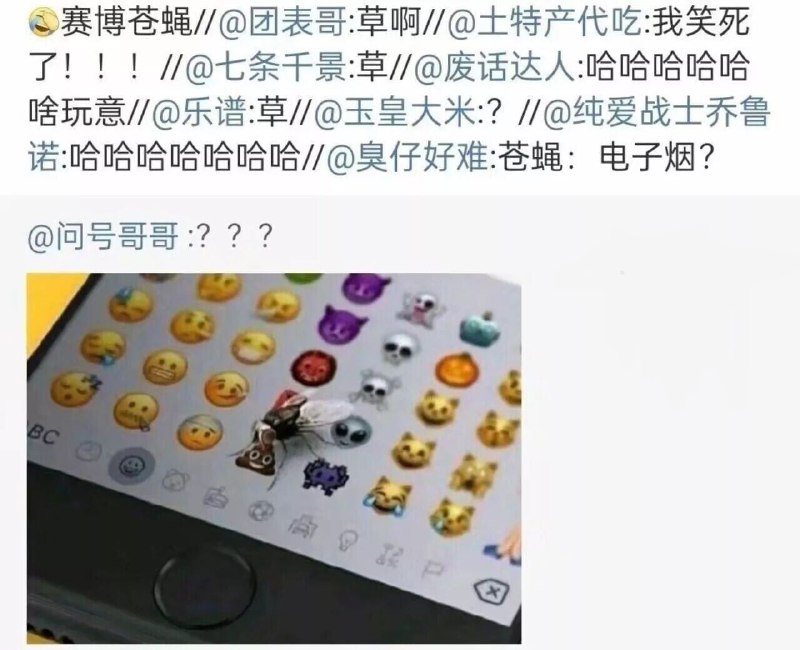 from 平壤卫视