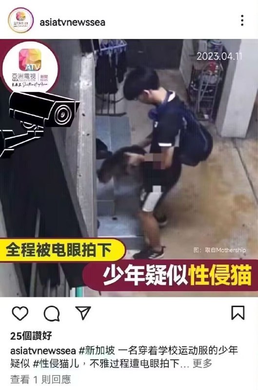 from 灰姑娘十八一朵花