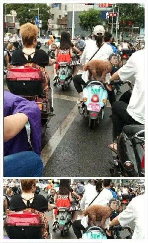 from 平壤卫视 via ㅤ