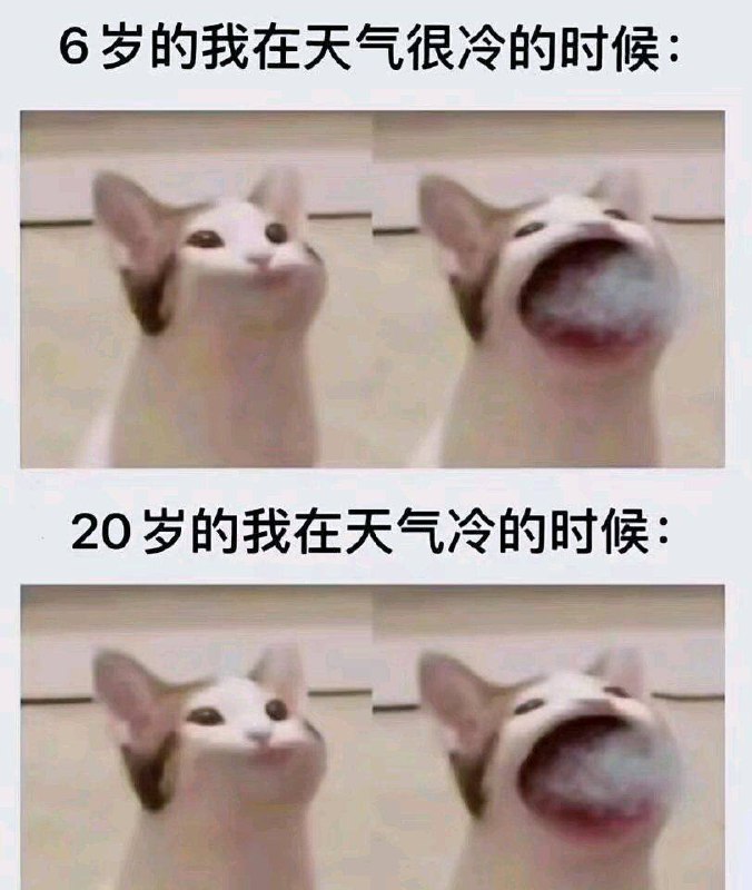 from 明矾 | KAl(SO₄)₂·12H₂O ⌘