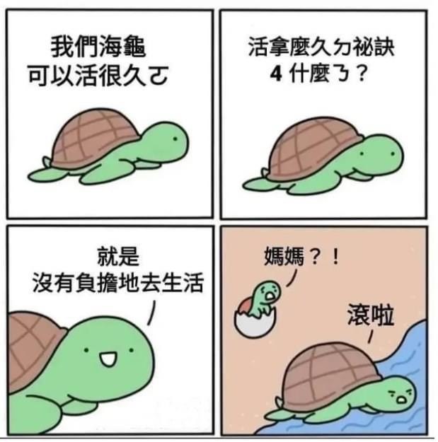 from 什么都能放