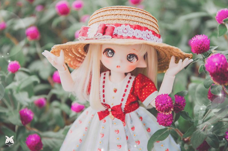 来点小可爱Twittervia irori来点小可爱Twittervia irori