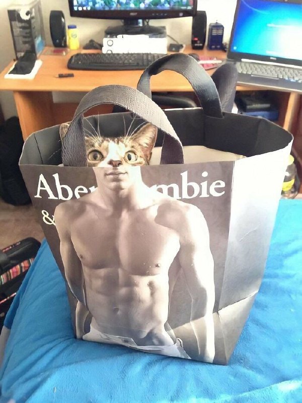 Gymnast cat 😈from 叮当喵喵