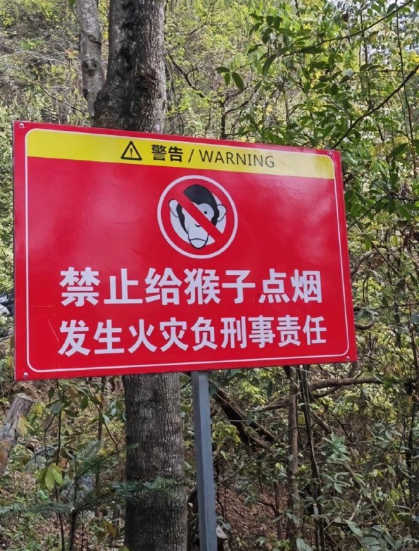 from 什么都能放 via DECADE